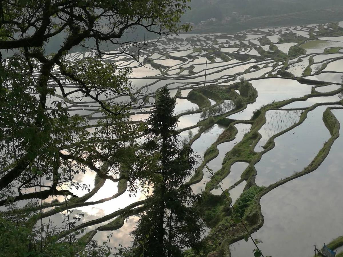 ホテル 多依湾客栈havre De Paix Duoyiwan 元陽県 エクステリア 写真